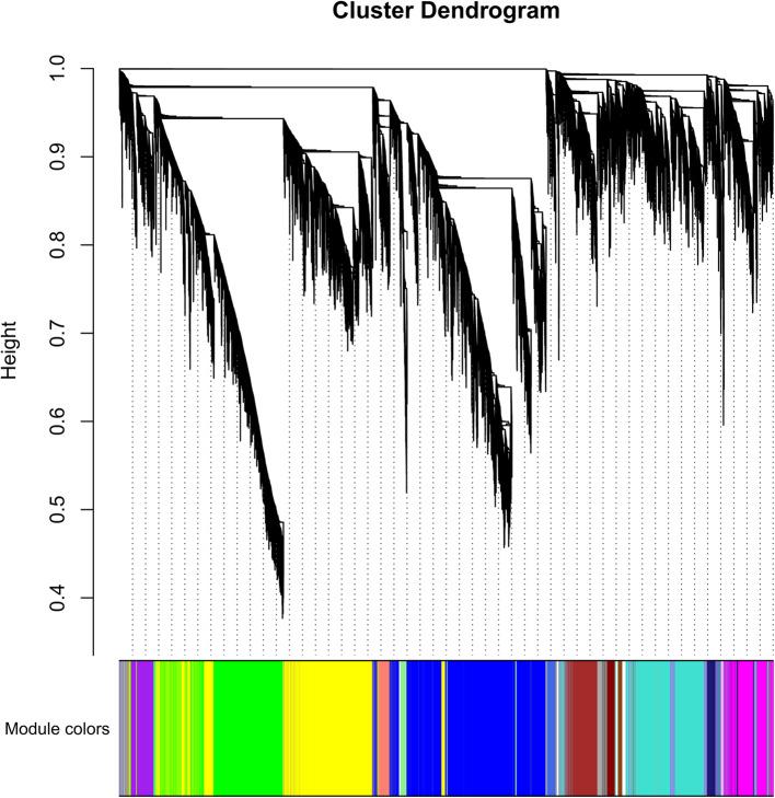 https://cdn.ncbi.nlm.nih.gov/pmc/blobs/04a7/12285015/0e489c8dfa8a/12870_2025_6895_Fig5_HTML.jpg