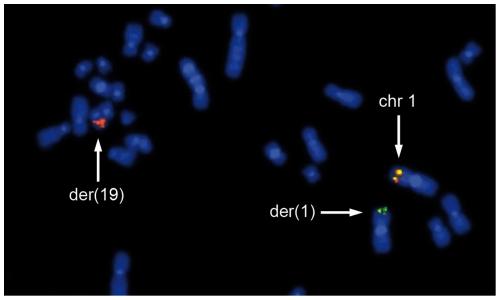 https://cdn.ncbi.nlm.nih.gov/pmc/blobs/04a7/2831057/789d4ba8126e/pone.0009485.g006.jpg