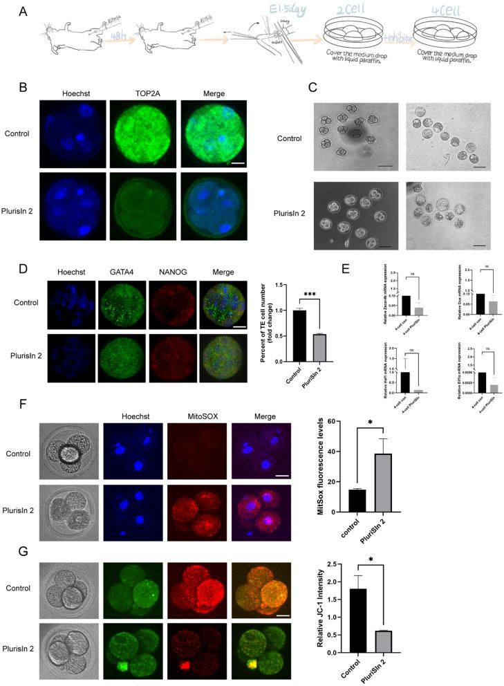 https://cdn.ncbi.nlm.nih.gov/pmc/blobs/04a8/9805267/055e548f04f8/10020_2022_592_Fig7_HTML.jpg