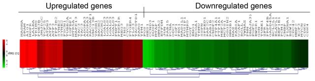 https://cdn.ncbi.nlm.nih.gov/pmc/blobs/04aa/2866575/508954290684/mv-v16-828-f6.jpg