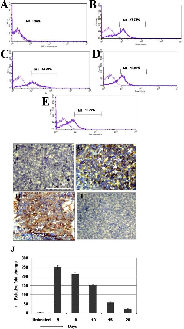 https://cdn.ncbi.nlm.nih.gov/pmc/blobs/04aa/2866575/bc09b262ddee/mv-v16-828-f2.jpg