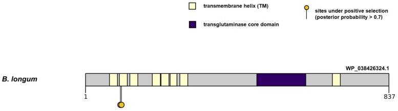 https://cdn.ncbi.nlm.nih.gov/pmc/blobs/04aa/6803598/68065afa7501/fmicb-10-02374-g002.jpg