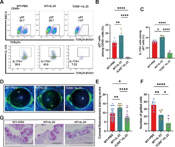https://cdn.ncbi.nlm.nih.gov/pmc/blobs/04ab/11801388/7c6fa8962dac/iovs-66-2-10-f003.jpg