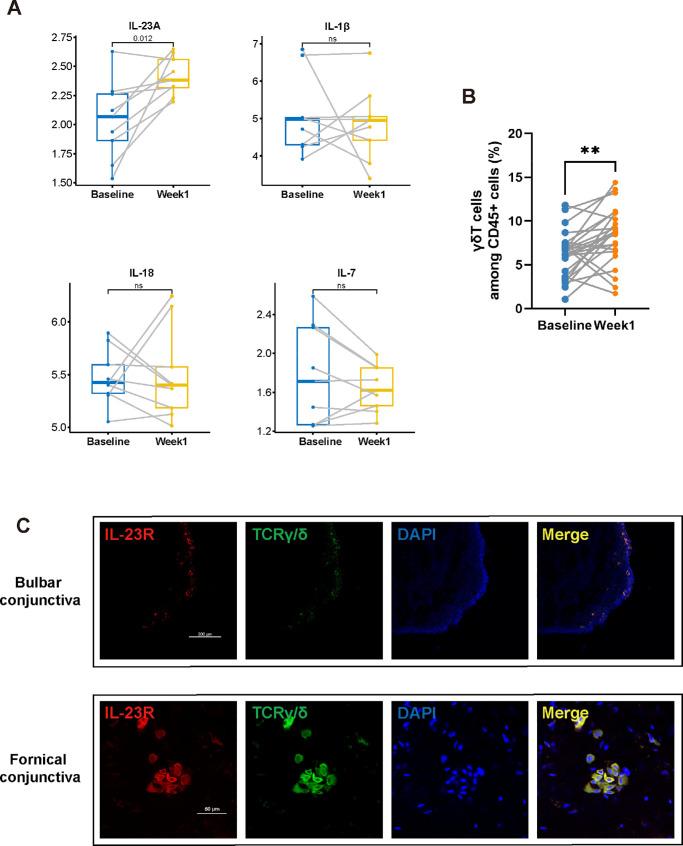 https://cdn.ncbi.nlm.nih.gov/pmc/blobs/04ab/11801388/b562c3c40bc6/iovs-66-2-10-f004.jpg