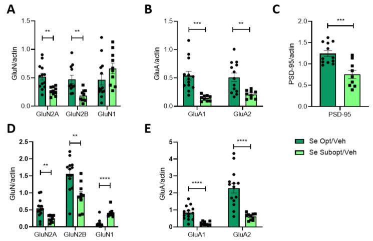 https://cdn.ncbi.nlm.nih.gov/pmc/blobs/04ac/9416673/9b13460b5b06/nutrients-14-03269-g005.jpg