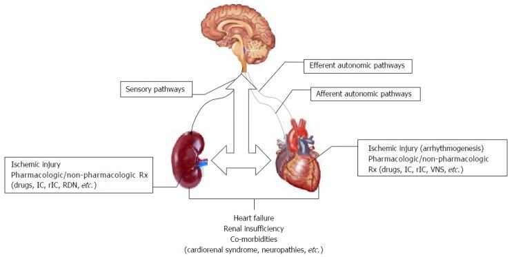 https://cdn.ncbi.nlm.nih.gov/pmc/blobs/04ad/5491468/f1806cf8f69a/WJC-9-508-g001.jpg