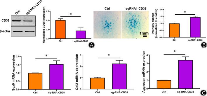 https://cdn.ncbi.nlm.nih.gov/pmc/blobs/04af/9087467/8be41d4b263e/OS-14-946-g005.jpg