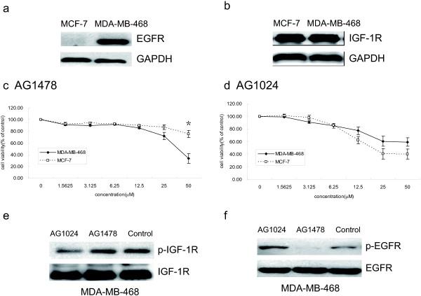 https://cdn.ncbi.nlm.nih.gov/pmc/blobs/04b0/3697997/355b8019b915/1471-2407-13-297-1.jpg