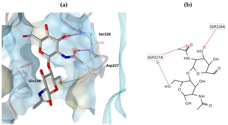 https://cdn.ncbi.nlm.nih.gov/pmc/blobs/04b1/11350809/51a22283eec5/antibiotics-13-00751-g001.jpg
