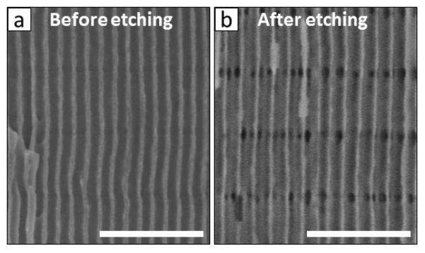 https://cdn.ncbi.nlm.nih.gov/pmc/blobs/04b1/4770565/51ef4d6ca85b/emss-60261-f0003.jpg