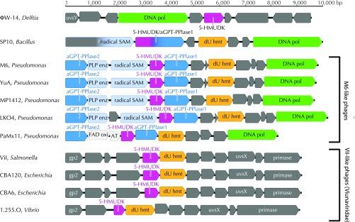 https://cdn.ncbi.nlm.nih.gov/pmc/blobs/04b1/5889632/48bccdaecdba/pnas.1714812115fig02.jpg