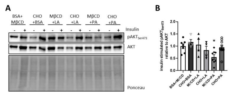 https://cdn.ncbi.nlm.nih.gov/pmc/blobs/04b1/7284591/b2127adeedaa/nutrients-12-01518-g006.jpg