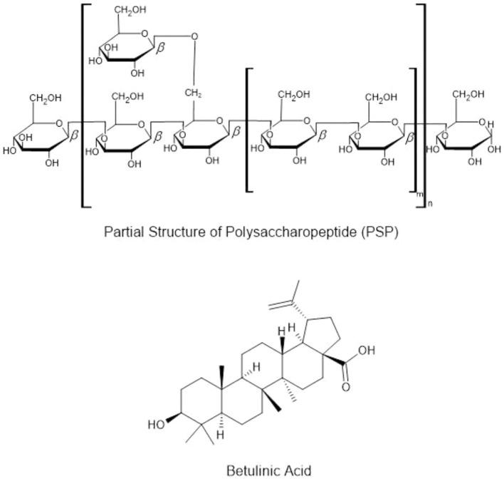 https://cdn.ncbi.nlm.nih.gov/pmc/blobs/04b4/12405408/1660866a6eb1/fcimb-15-1605301-g003.jpg