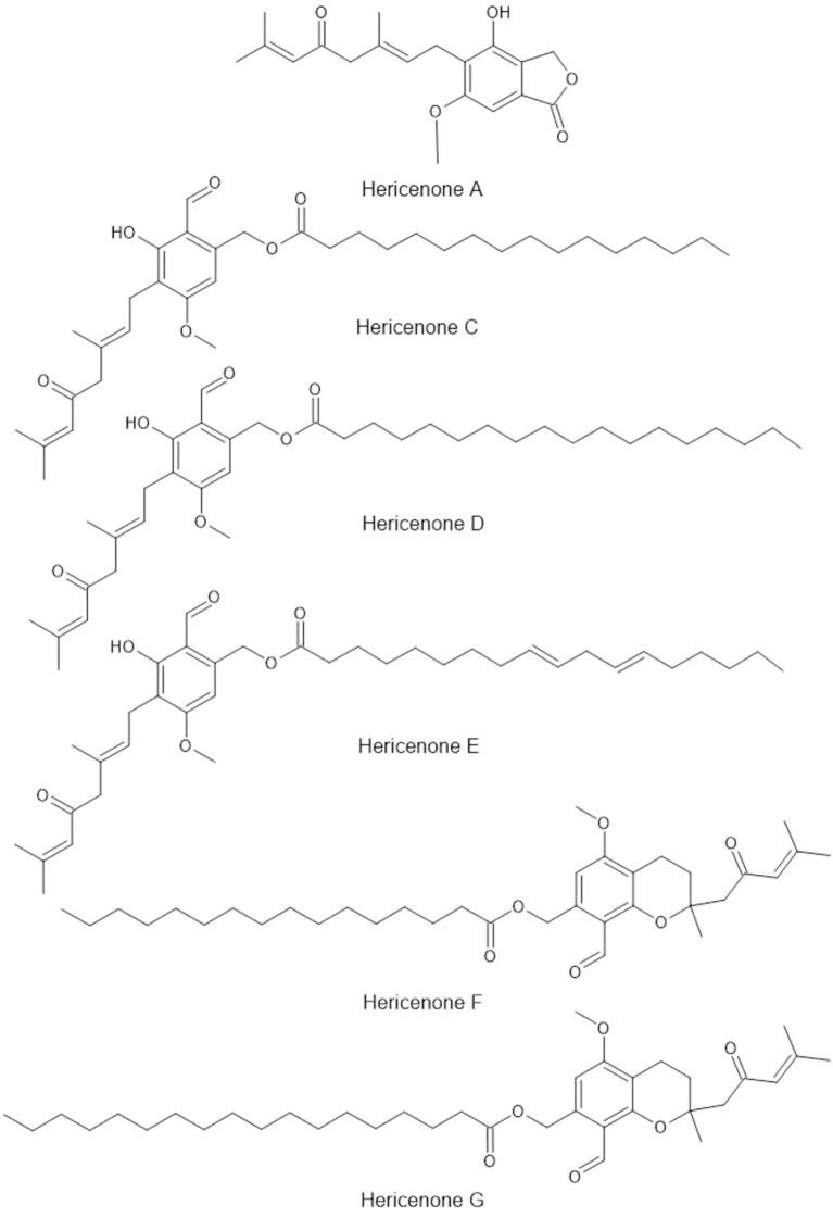 https://cdn.ncbi.nlm.nih.gov/pmc/blobs/04b4/12405408/24c747280339/fcimb-15-1605301-g005.jpg