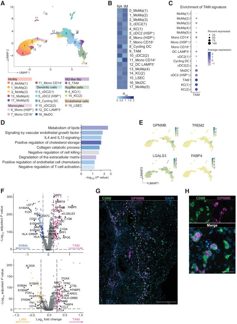 https://cdn.ncbi.nlm.nih.gov/pmc/blobs/04b5/10070171/03d89caf16ed/405fig1.jpg