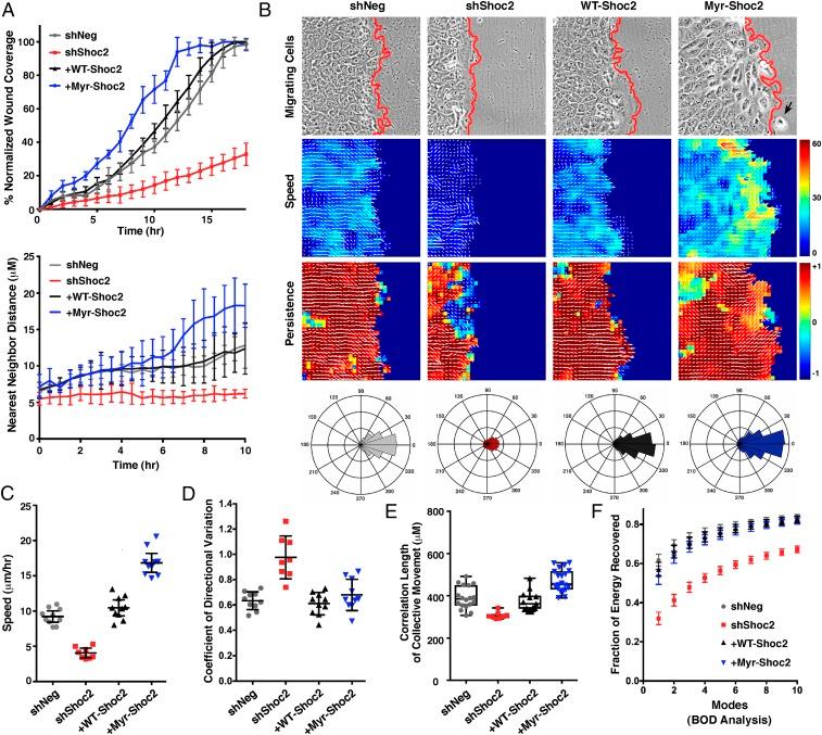 https://cdn.ncbi.nlm.nih.gov/pmc/blobs/04b5/6397545/d2000aaf0cbd/pnas.1805919116fig04.jpg