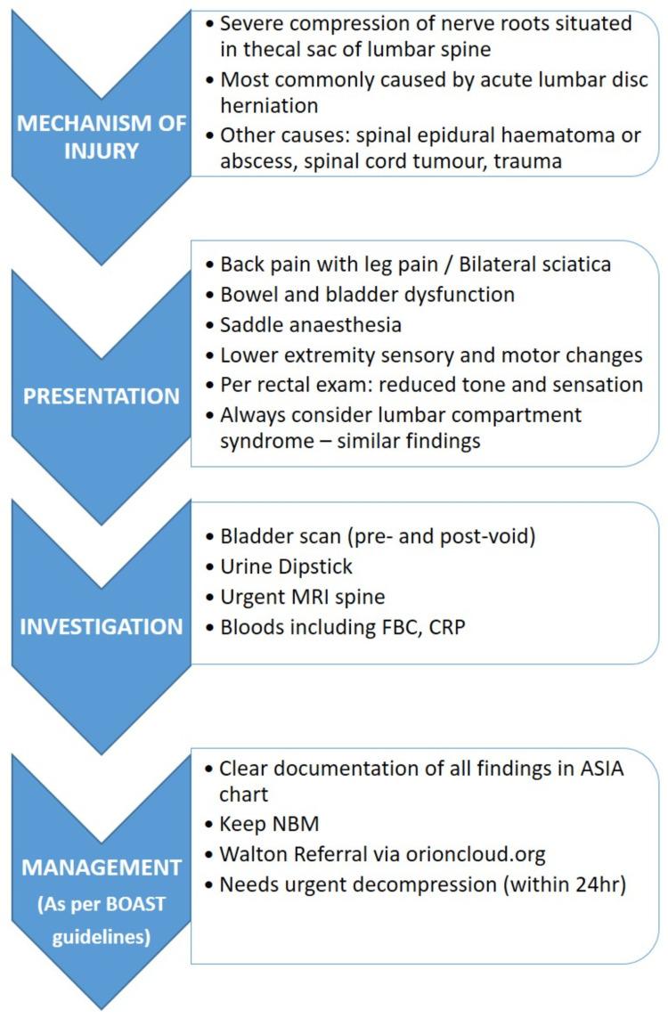 https://cdn.ncbi.nlm.nih.gov/pmc/blobs/04b6/11499727/d79355b8659a/cureus-0016-00000070061-i02.jpg
