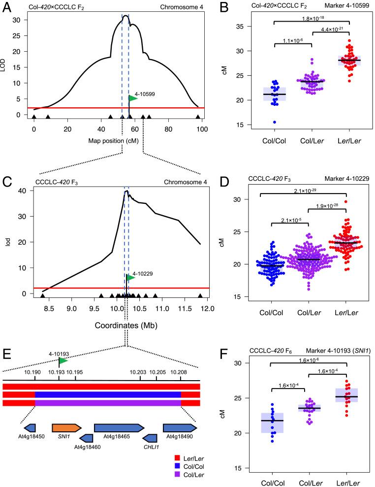 https://cdn.ncbi.nlm.nih.gov/pmc/blobs/04b7/8379953/1a0d42e6c892/pnas.2021970118fig01.jpg