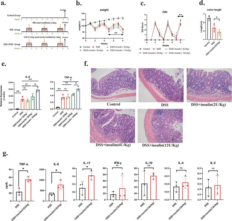 https://cdn.ncbi.nlm.nih.gov/pmc/blobs/04b8/10797971/cc65f9cee863/12967_2023_4789_Fig3_HTML.jpg