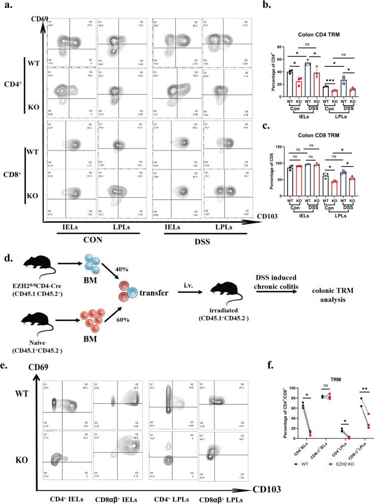 https://cdn.ncbi.nlm.nih.gov/pmc/blobs/04b8/10797971/ff9e87fc5b32/12967_2023_4789_Fig8_HTML.jpg
