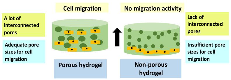 https://cdn.ncbi.nlm.nih.gov/pmc/blobs/04b8/8745539/a28d6bf44d5d/ijms-23-00476-g008.jpg