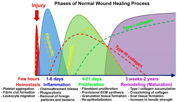 https://cdn.ncbi.nlm.nih.gov/pmc/blobs/04b8/8745539/dc409c408523/ijms-23-00476-g001.jpg