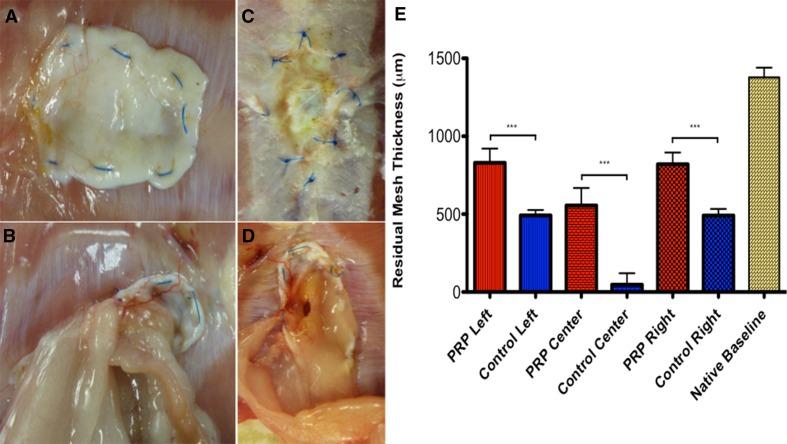 https://cdn.ncbi.nlm.nih.gov/pmc/blobs/04ba/4956706/88158c1a13be/464_2015_4645_Fig5_HTML.jpg