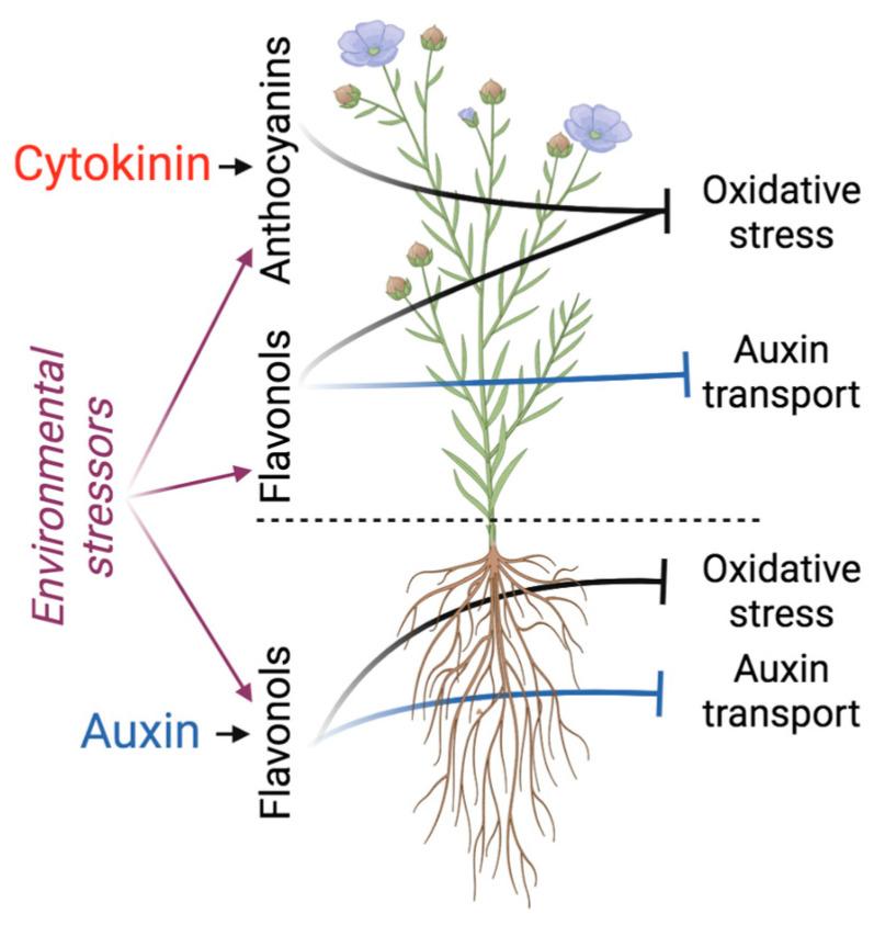 https://cdn.ncbi.nlm.nih.gov/pmc/blobs/04ba/9921348/aaeee4e6ef94/plants-12-00517-g002.jpg