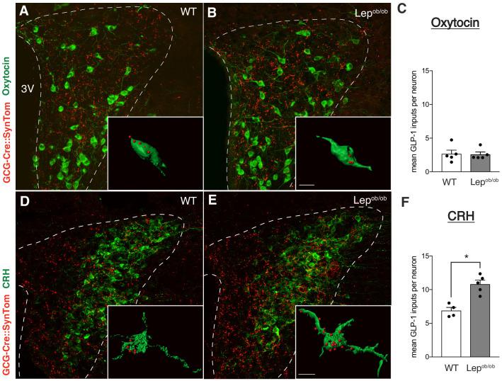 https://cdn.ncbi.nlm.nih.gov/pmc/blobs/04bb/7673779/078b8d7e6d4b/elife-59857-fig4.jpg