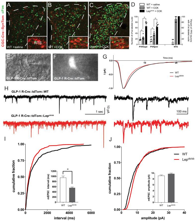 https://cdn.ncbi.nlm.nih.gov/pmc/blobs/04bb/7673779/2340c0ac09c4/elife-59857-fig5.jpg