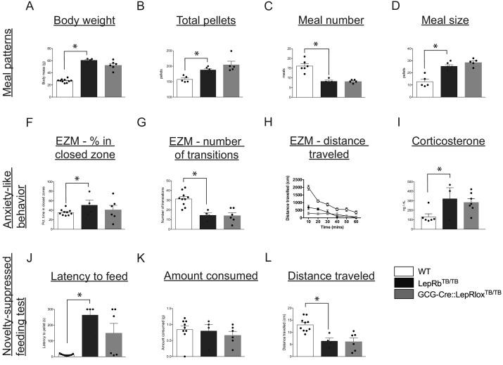 https://cdn.ncbi.nlm.nih.gov/pmc/blobs/04bb/7673779/8a3b3a9eaaef/elife-59857-fig7.jpg