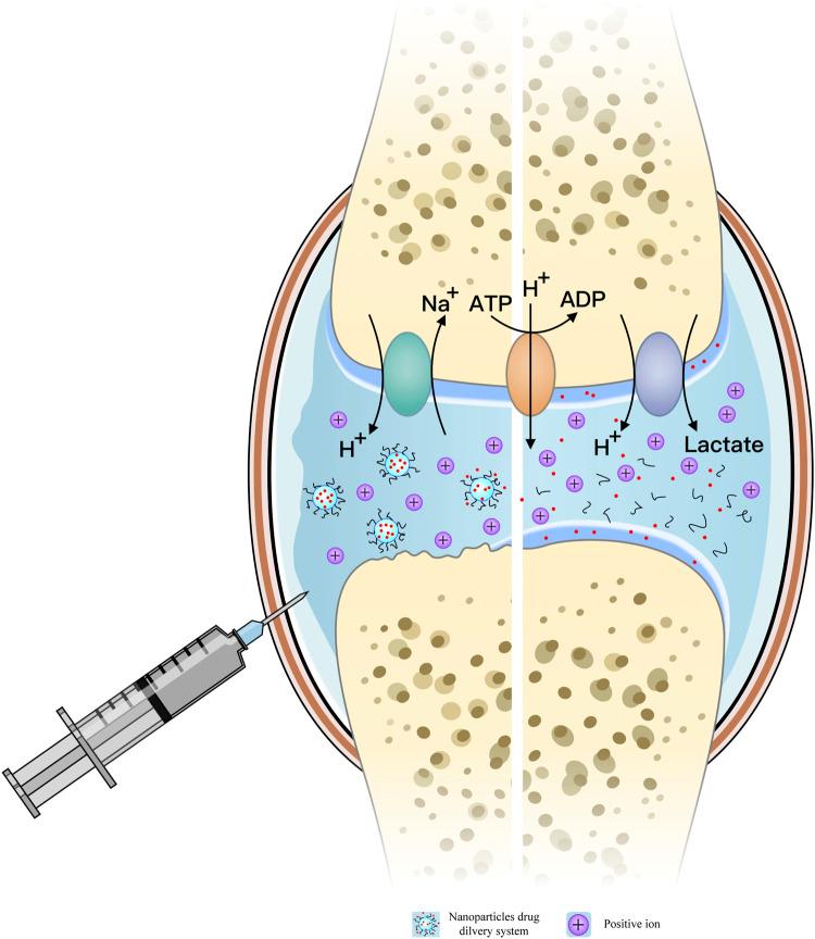 https://cdn.ncbi.nlm.nih.gov/pmc/blobs/04bc/11260422/874e6ba8ea52/fbioe-12-1426794-g001.jpg