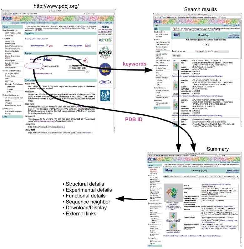 https://cdn.ncbi.nlm.nih.gov/pmc/blobs/04bc/2997606/cb4af97d134a/baq021f3.jpg
