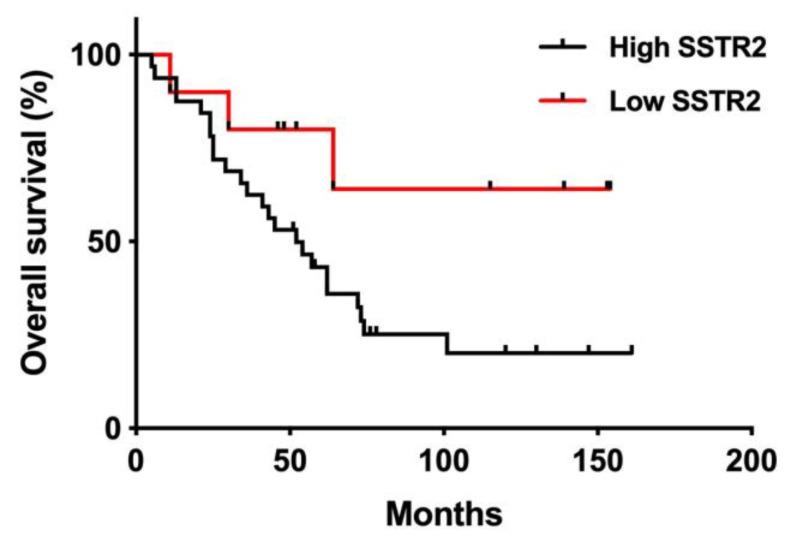 https://cdn.ncbi.nlm.nih.gov/pmc/blobs/04bc/8122794/a9ea83dd9be5/cancers-13-02035-g008.jpg