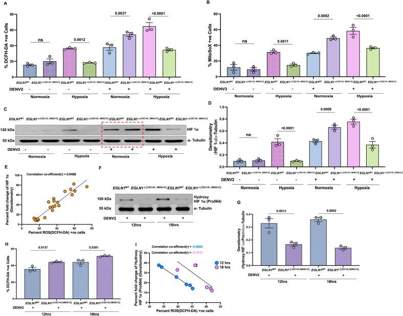 https://cdn.ncbi.nlm.nih.gov/pmc/blobs/04be/12212868/d9155cd25f99/ppat.1013296.g003.jpg