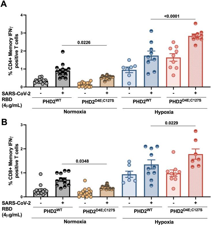 https://cdn.ncbi.nlm.nih.gov/pmc/blobs/04be/12212868/e6070fb39578/ppat.1013296.g006.jpg