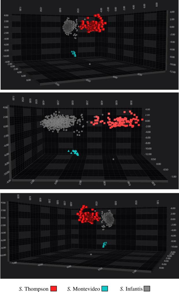 https://cdn.ncbi.nlm.nih.gov/pmc/blobs/04bf/12211031/d4178cc8e509/spectrum.00159-25.f002.jpg