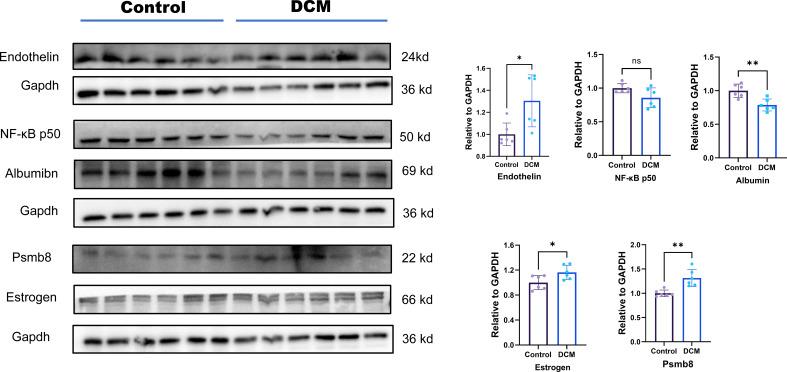 https://cdn.ncbi.nlm.nih.gov/pmc/blobs/04c2/9421304/dc0821afd12d/fendo-13-933635-g008.jpg