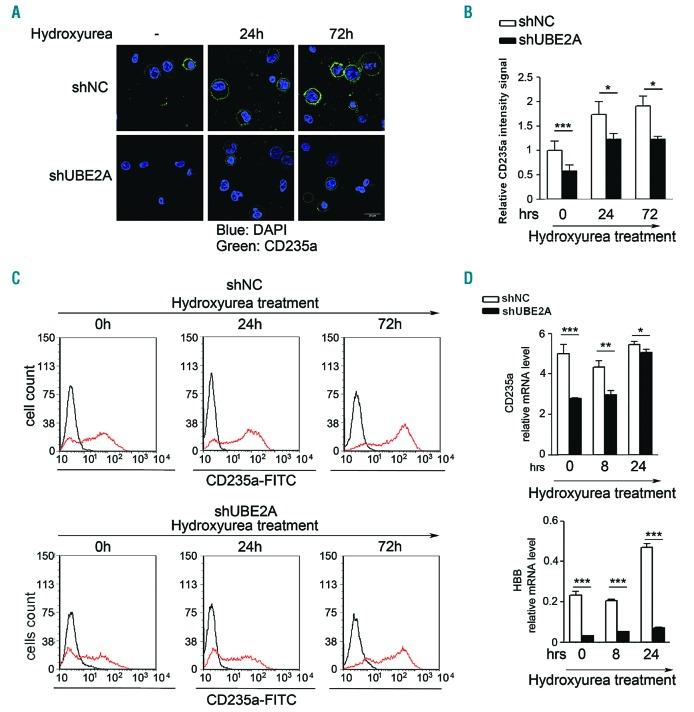 https://cdn.ncbi.nlm.nih.gov/pmc/blobs/04c5/6717574/1280357a2968/1041789.fig3.jpg