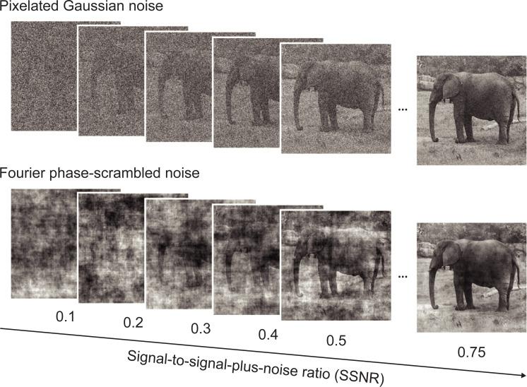 https://cdn.ncbi.nlm.nih.gov/pmc/blobs/04c6/8659651/df8743df085d/pbio.3001418.g001.jpg