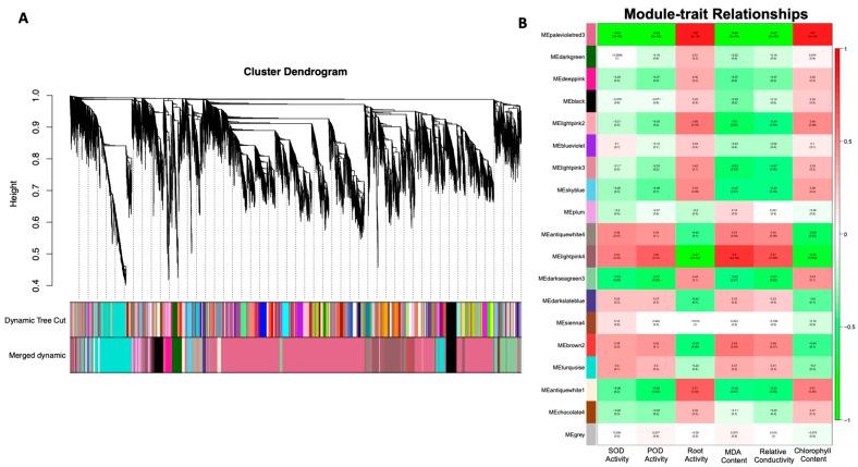 https://cdn.ncbi.nlm.nih.gov/pmc/blobs/04c9/10530605/81738d542cbc/genes-14-01728-g006.jpg