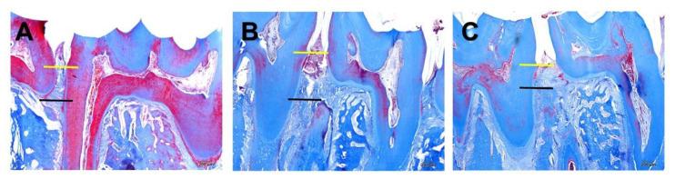 https://cdn.ncbi.nlm.nih.gov/pmc/blobs/04c9/10962540/bcb5b3468a9e/bmed-13-04-044f2.jpg