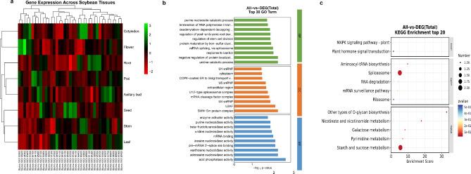 https://cdn.ncbi.nlm.nih.gov/pmc/blobs/04ca/11967112/583b353a6026/12870_2025_6457_Fig4_HTML.jpg