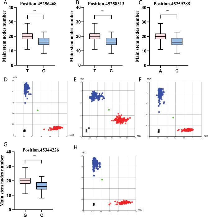 https://cdn.ncbi.nlm.nih.gov/pmc/blobs/04ca/11967112/b839f2d61cfe/12870_2025_6457_Fig7_HTML.jpg