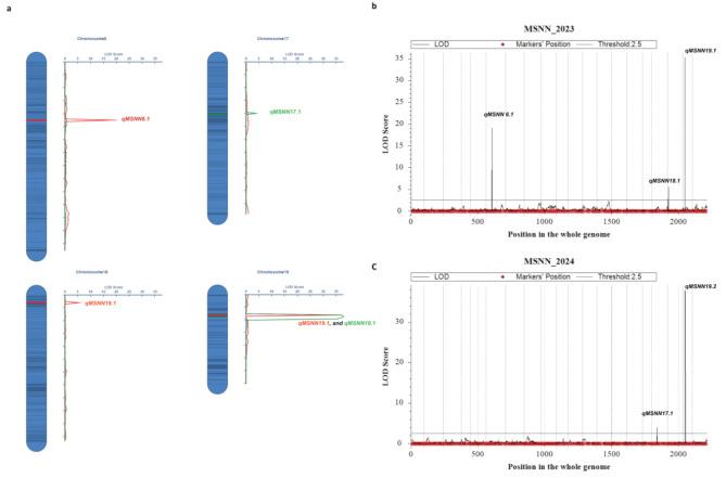 https://cdn.ncbi.nlm.nih.gov/pmc/blobs/04ca/11967112/e6b293c369ae/12870_2025_6457_Fig3_HTML.jpg