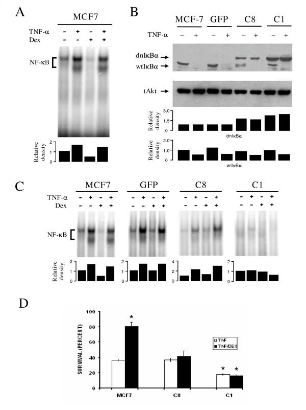 https://cdn.ncbi.nlm.nih.gov/pmc/blobs/04cb/1395311/b4da3e05ae6c/1471-2121-7-9-3.jpg