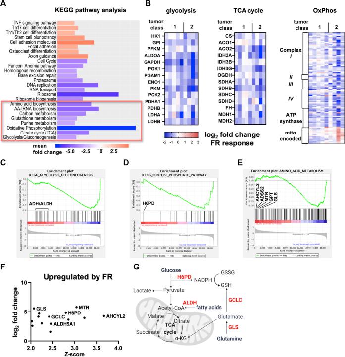 https://cdn.ncbi.nlm.nih.gov/pmc/blobs/04cc/8761705/846a5b07c2ab/gr8.jpg