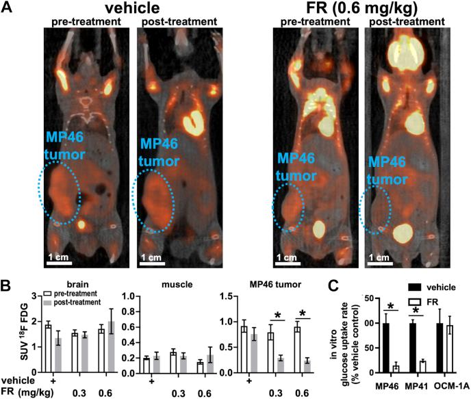 https://cdn.ncbi.nlm.nih.gov/pmc/blobs/04cc/8761705/f6ac1b360a24/gr1.jpg