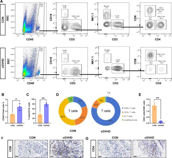 https://cdn.ncbi.nlm.nih.gov/pmc/blobs/04cd/11174147/362ed1d2f253/iovs-65-6-20-f008.jpg