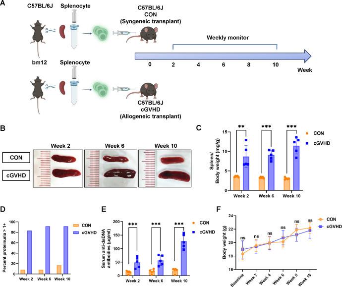 https://cdn.ncbi.nlm.nih.gov/pmc/blobs/04cd/11174147/73562580c9c7/iovs-65-6-20-f001.jpg